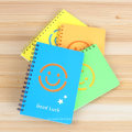 Cadernos de diário em Bulk Spiral Bound Hardcover Journal